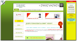 vision-spb.ru